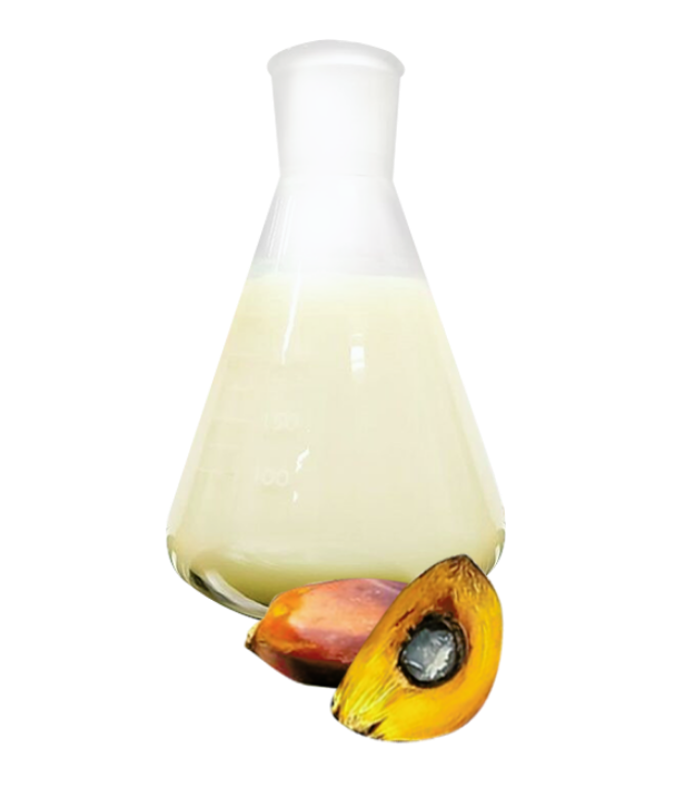 RBD Palm Oil ( 36 - 39 ) - Elburg Global