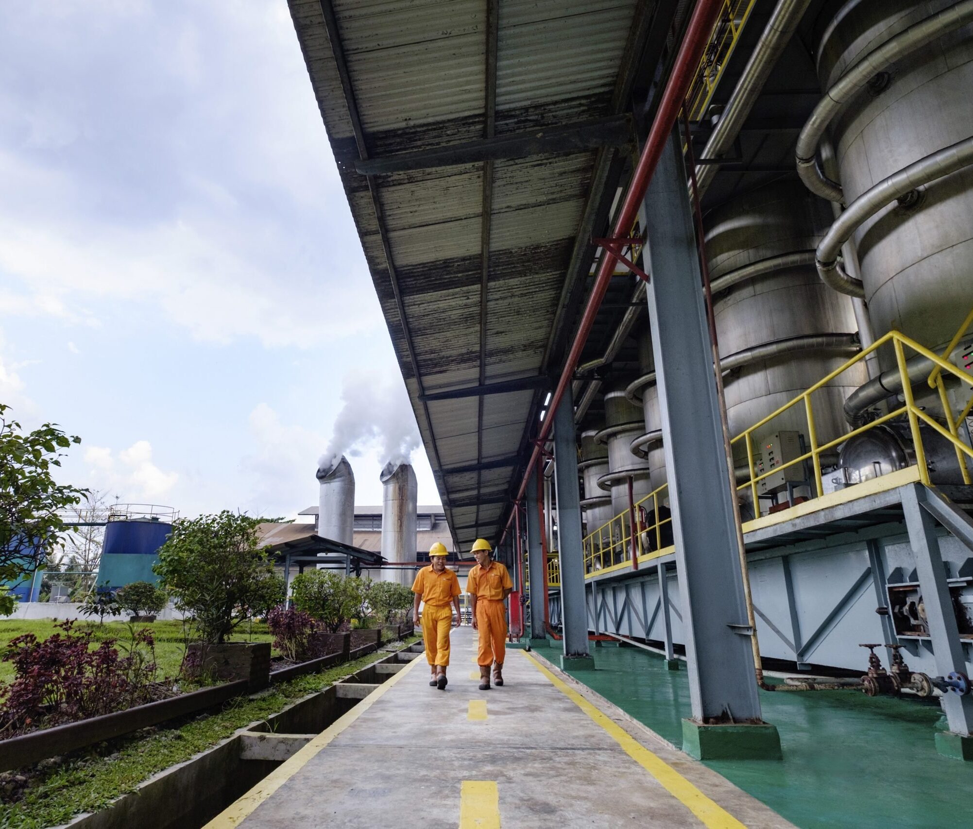 Nortalic launches first cooking oil production line in Vietnam Nortalic
