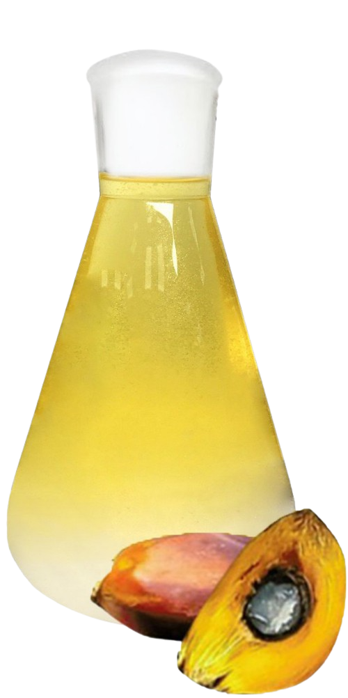Dầu cọ tinh luyện